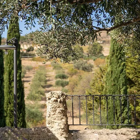 Roba Degli Ulivi 4* Agrigente