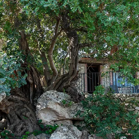 Roba Degli Ulivi Agrigento