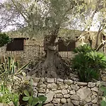 Roba Degli Ulivi アグリジェント