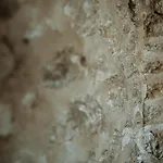 Roba Degli Ulivi ベッド・アンド・ブレックファスト