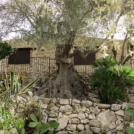 Roba Degli Ulivi Αγκριτζέντο